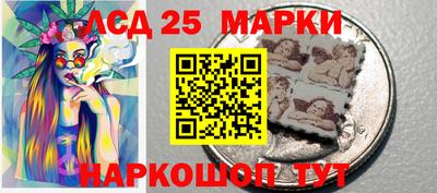 крисы Магадан