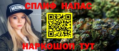 крисы Магадан