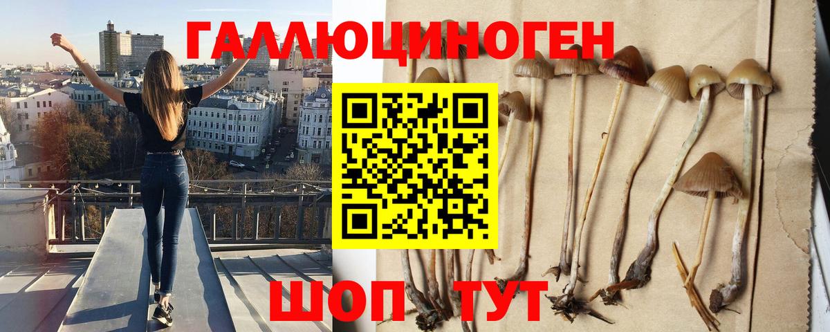 Галлюциногенные грибы Psilocybine cubensis  Вход с VPN  Сертолово 