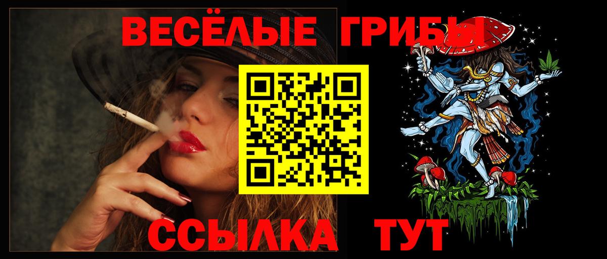 Псилоцибиновые грибы Psilocybine cubensis Сертолово